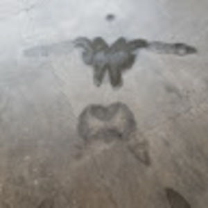 Meet your Posher, Not for the weak